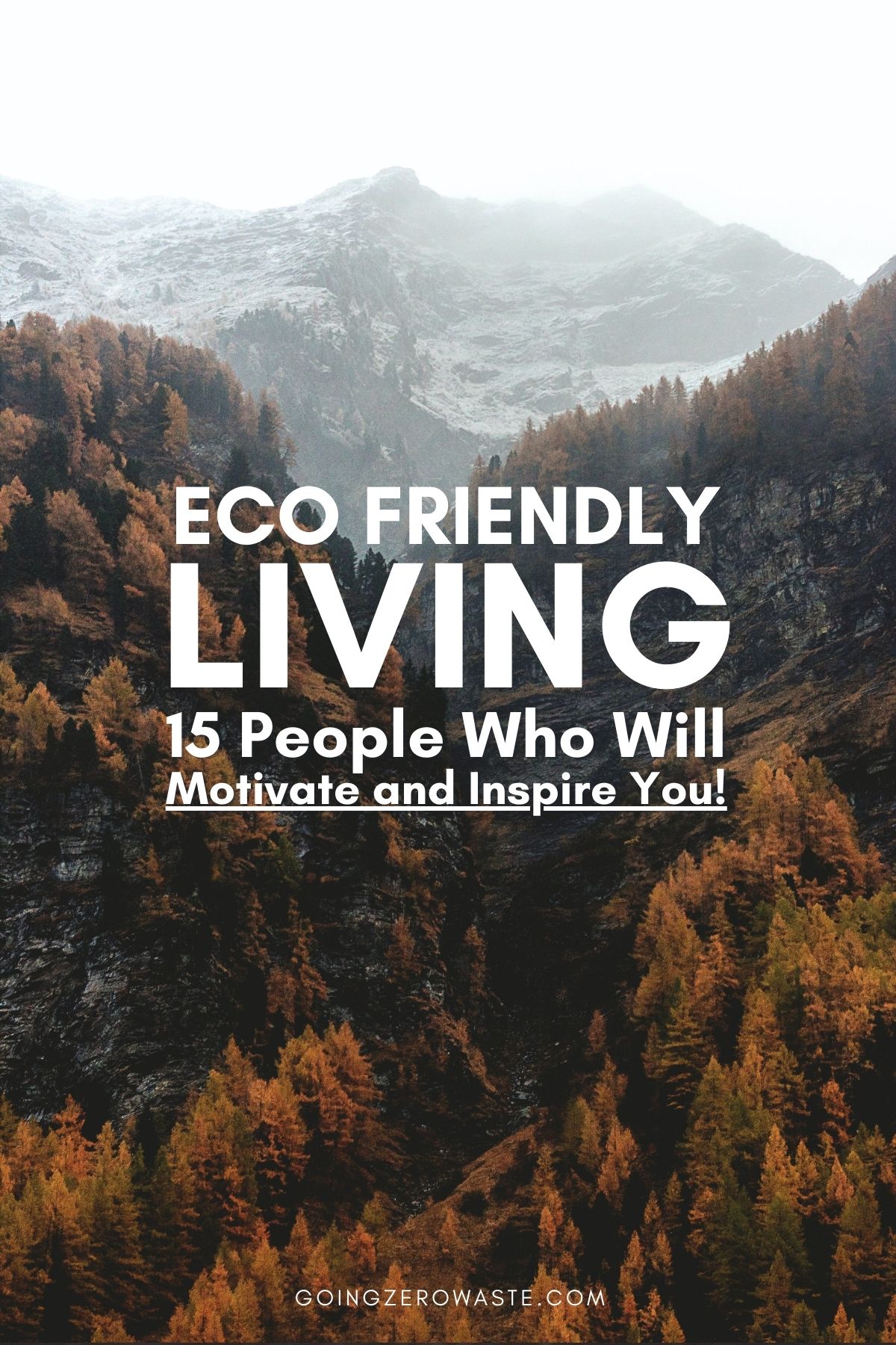 Eco Nice Dwelling: 15 People Who’ll Encourage and Encourage You