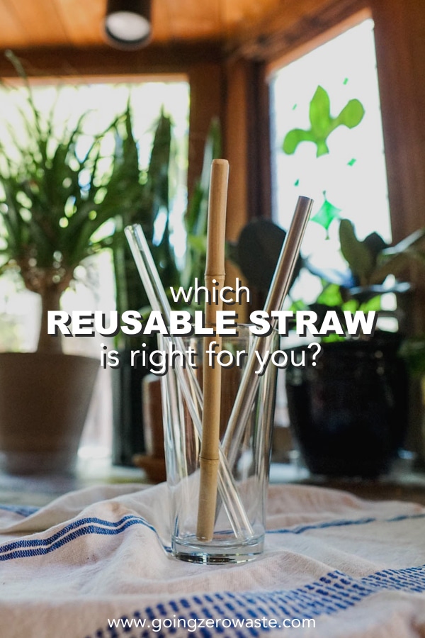 Which Reusable Straw is Correct for You?