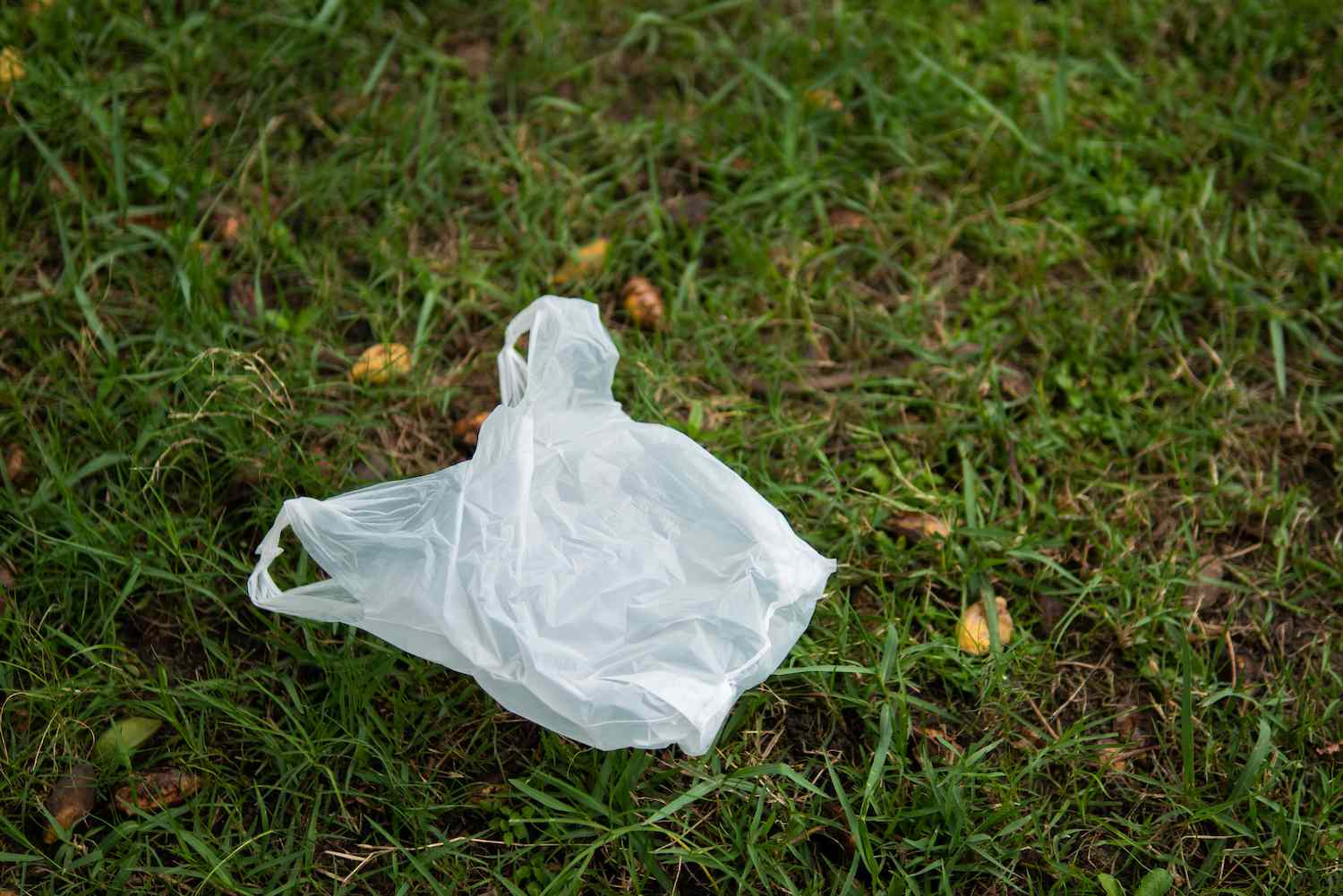 Should Cities Throw Away Plastic Bag Bans? It’s Refined